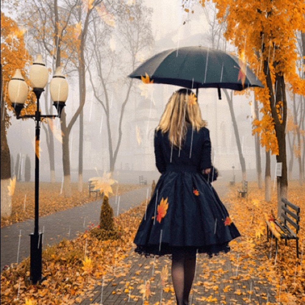 FALL SALES🍂🍁🍃🍁